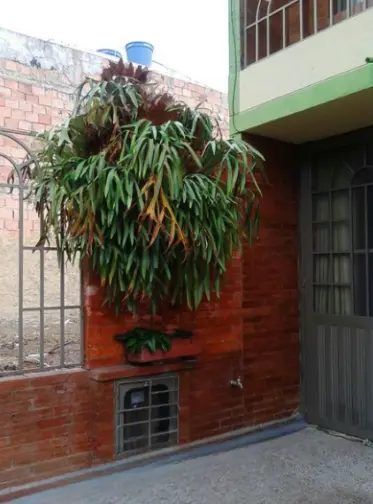 CASA en VENTA en URBANIZACION SAN JORGE — 3