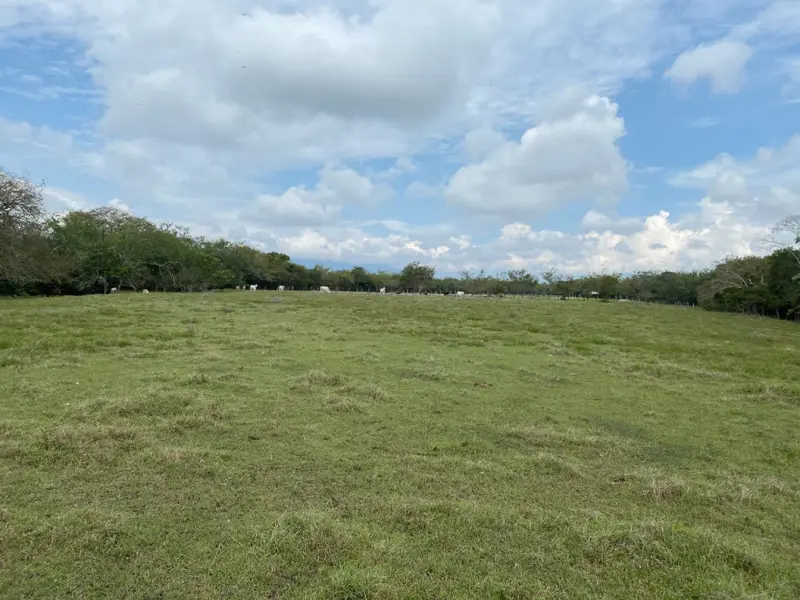 LOTE en VENTA en VIA BOGOTA-CERCA A LOS OLIVOS — 2