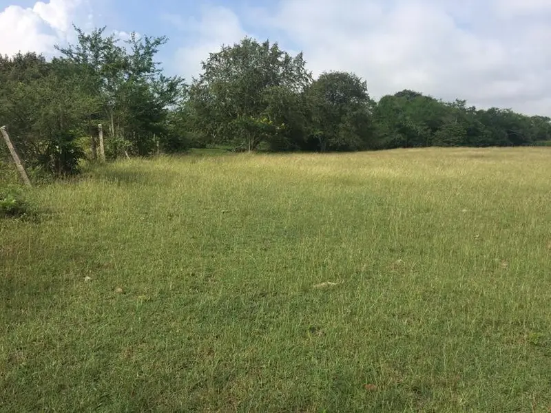 LOTE en VENTA en VIA BOGOTA-CERCA A LOS OLIVOS — 3