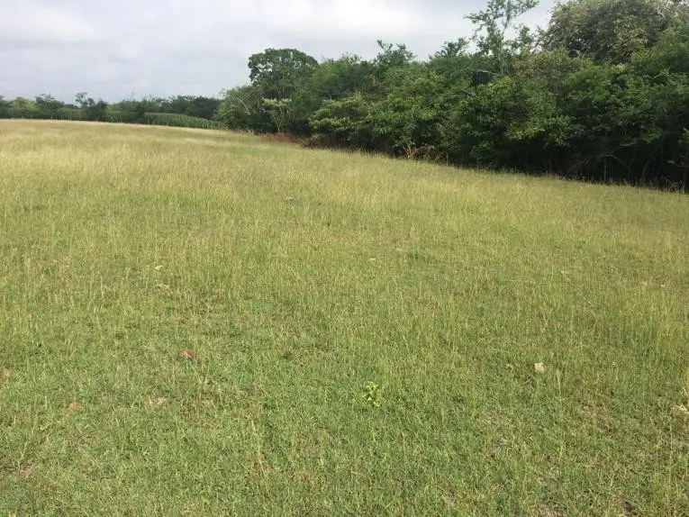 LOTE en VENTA en VIA BOGOTA-CERCA A LOS OLIVOS — 4