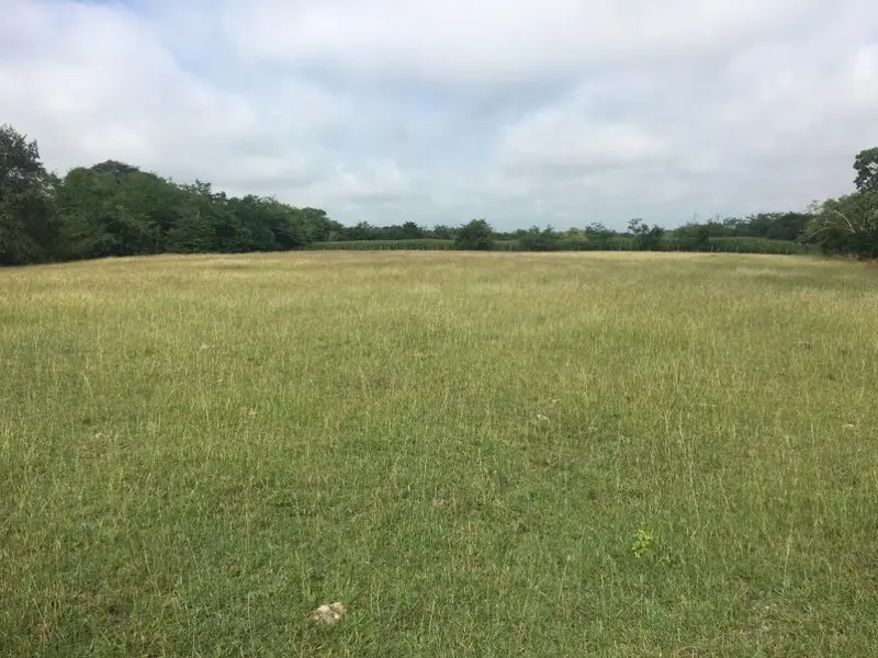 LOTE en VENTA en VIA BOGOTA-CERCA A LOS OLIVOS — 5