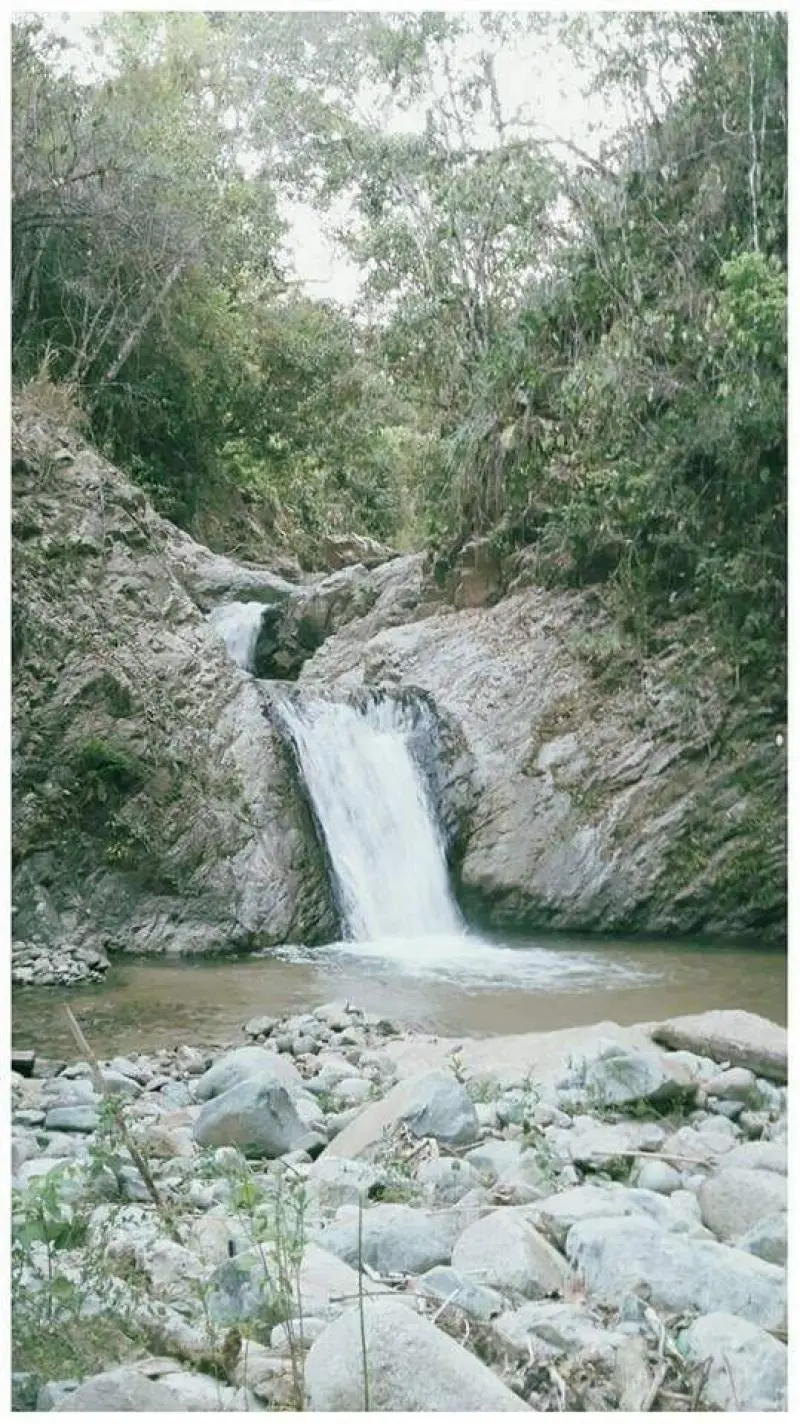 FINCA en VENTA en VEREDA EL REAL — 3