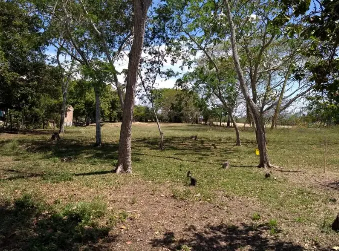 LOTE en VENTA en PIEDRA GRANDE PARAJE CHUCUNI — 2