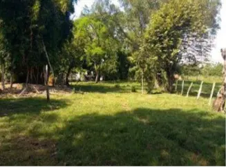 LOTE en VENTA en LOTE-OSPINA PEREZ DOS