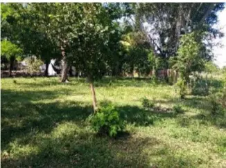 LOTE en VENTA en LOTE-OSPINA PEREZ DOS — 2