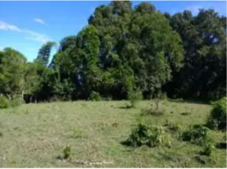 LOTE en VENTA en LOTE-OSPINA PEREZ DOS — 2