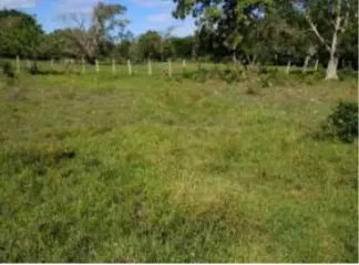 LOTE en VENTA en LOTE-OSPINA PEREZ DOS