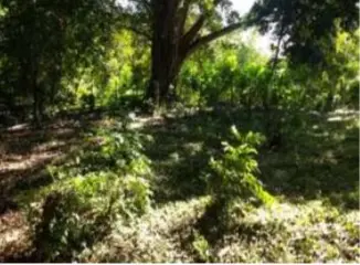LOTE en VENTA en LOTE-OSPINA PEREZ DOS — 3