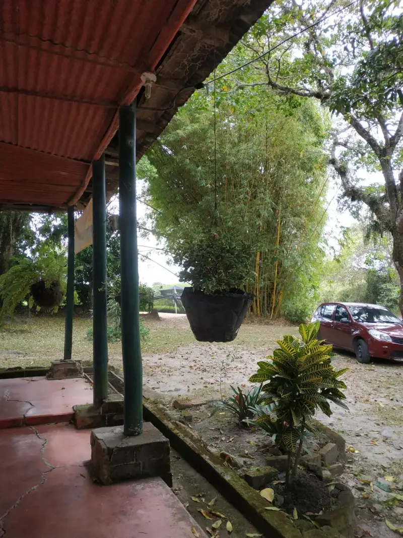 FINCA en VENTA en FINCA LA CASTELLANA - VEREDA EL CURAL KM 8 — 2