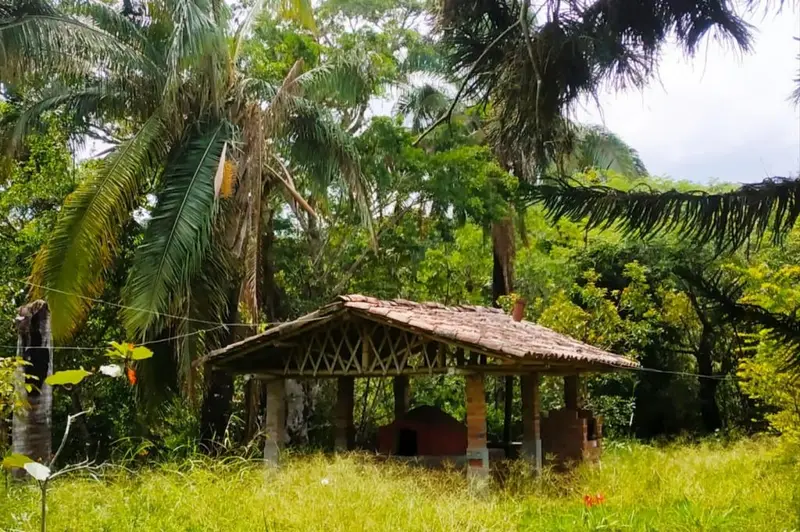 FINCA en VENTA en FINCA LA CASTELLANA - VEREDA EL CURAL KM 8 — 3