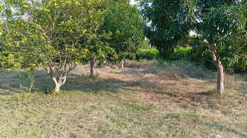 LOTE en VENTA en VEREDA SAN FRANCISCO LOTE 2