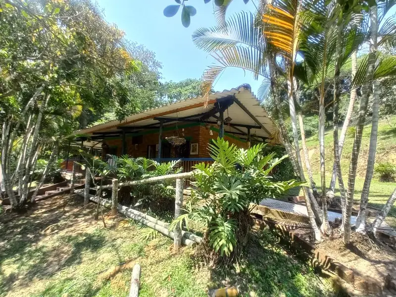 FINCA en VENTA en MANANTIALES DE ANTAÑO - VEREDA POTRERITO — 2