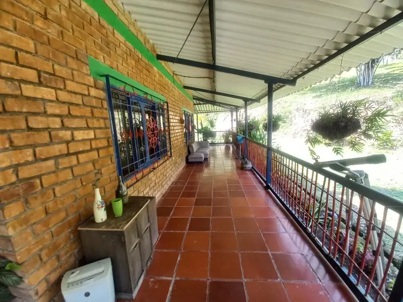 FINCA en VENTA en MANANTIALES DE ANTAÑO - VEREDA POTRERITO — 3