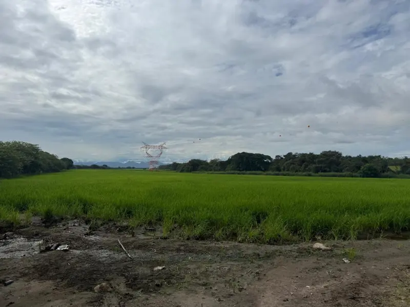 LOTE en VENTA en Pradera Alta Barrio Picalena — 2