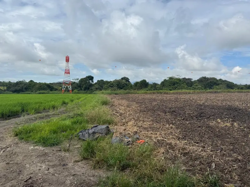 LOTE en VENTA en Pradera Alta Barrio Picalena — 5