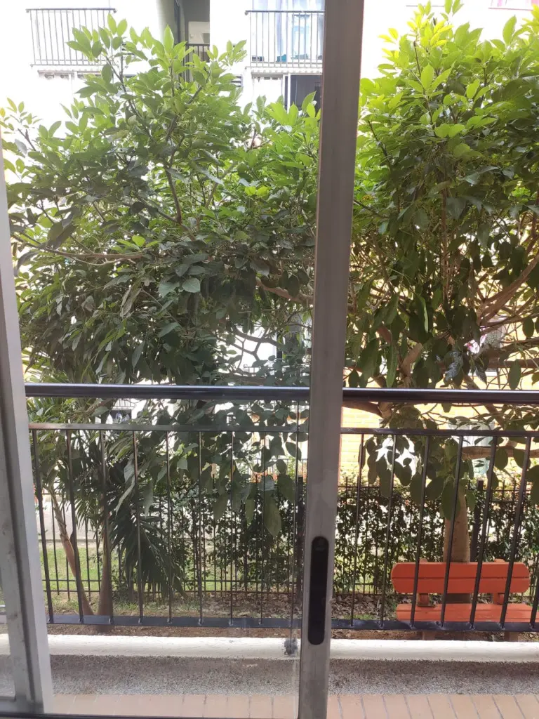 APARTAMENTO en VENTA en ARBOLEDA CAMPESTRE LOS CAMBULOS PISO 2 — 3