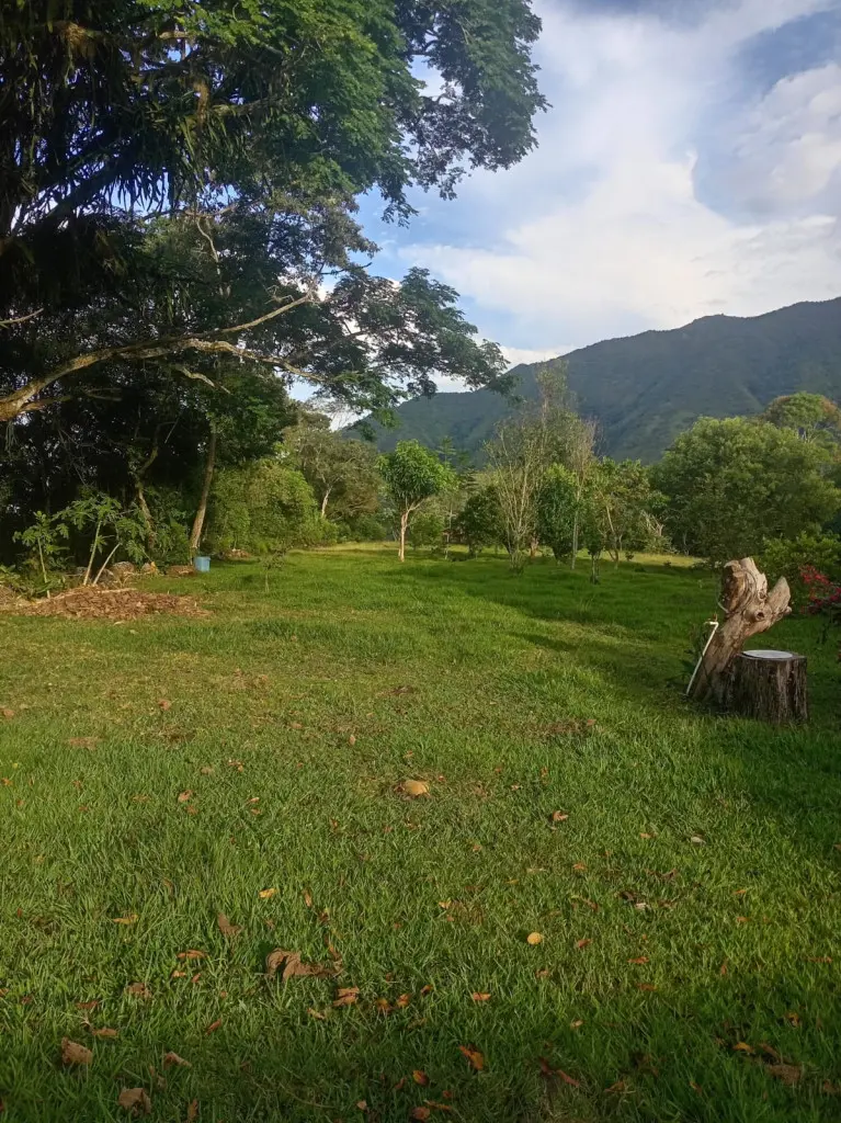 CASALOTE en VENTA en VEREDA LA VEGA FRACCION COMBEIMA-TOTUMO — 2
