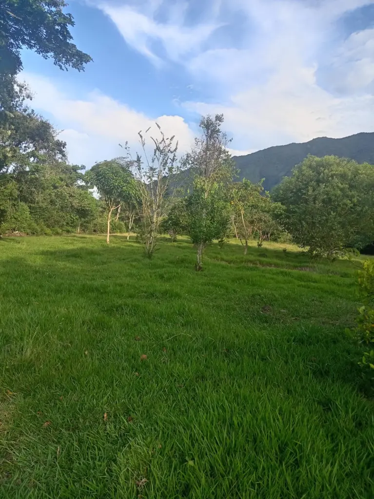 CASALOTE en VENTA en VEREDA LA VEGA FRACCION COMBEIMA-TOTUMO — 3