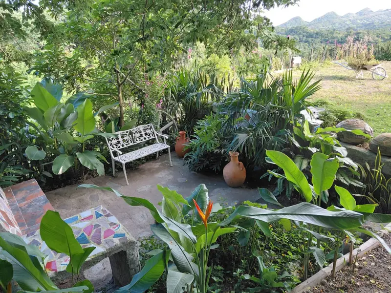 FINCA en VENTA en FINCA POTREROS DE LA CRUZ — 4