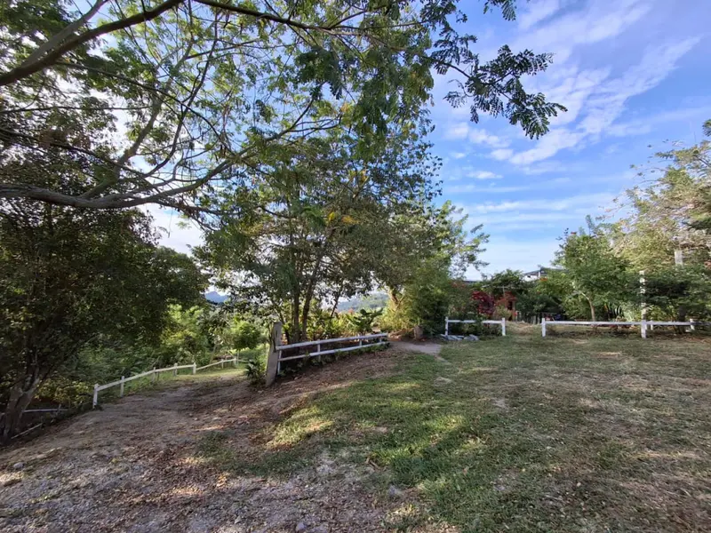 FINCA en VENTA en FINCA POTREROS DE LA CRUZ — 5