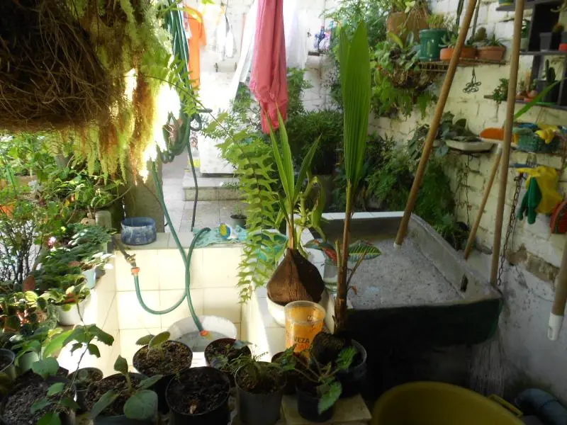 CASA en VENTA en POLA — 5